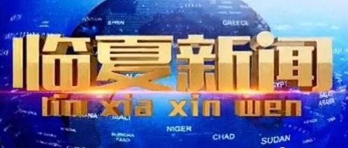 世茂能源爆料最新消息视频,揭秘能源行业重大动态！